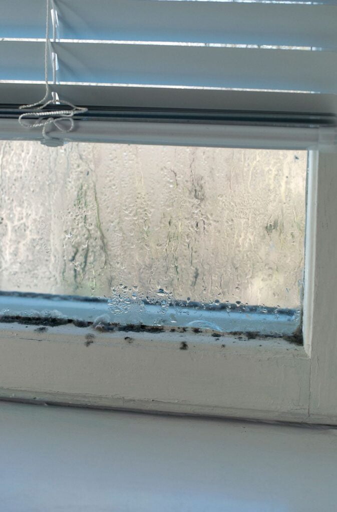 Get rid of Mould on your windows.