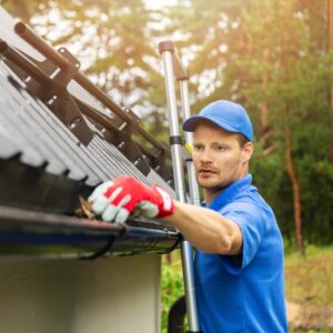 Discover Why Gutter Cleaning is Essential for Your Home's Health